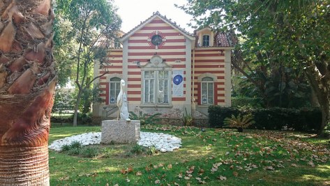 43792785504_8e78d0c8d7_z